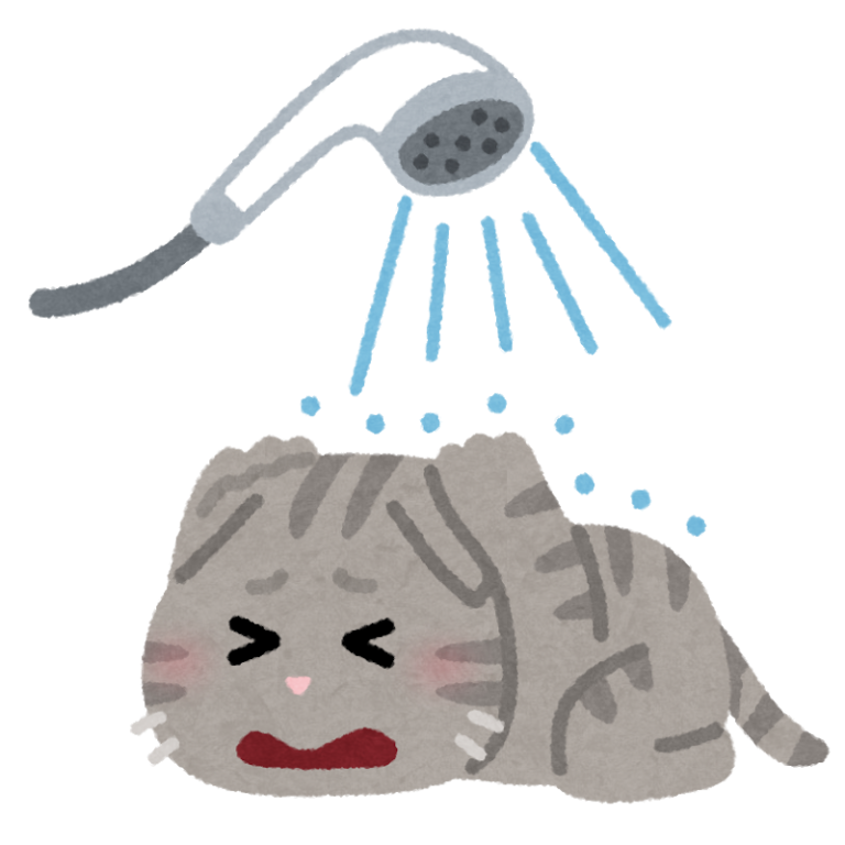 夜お風呂に入れない人が朝風呂派をやめられた方法【厳選1つ】 最下級な救世主blog